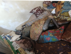 Pria 79 Tahun Ditemukan Membusuk Dalam Kamar, Gegerkan Warga Banyu Urip Surabaya