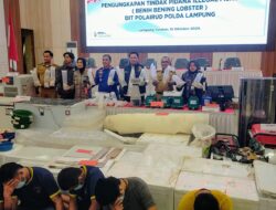 Ungkap 149.400 Ekor BBL, Polda Lampung Selamatkan Kerugian Negara Rp37,3 M