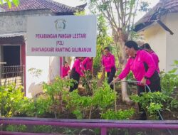 Bhayangkari Ranting Gilimanuk Laksanakan Penanaman Sayur dan Perawatan Tanaman untuk Dukung Ketahanan Pangan