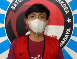 Polrestabes Surabaya tangkap bandar ganja 