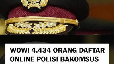 Img 20241114 Wa0003