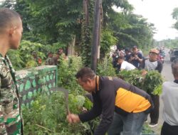 Cegah Banjir Polisi bersama TNI Bersihkan Sampah dan Enceng Gondok di Sungai Gebang Sidoarjo