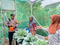 Dampingi KWT Bhabinkamtibmas Polres Probolinggo Kota Ajak Warga Wujudkan Ketahanan Pangan
