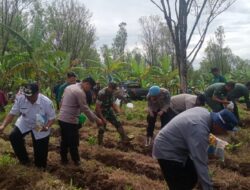 Polresta Banyuwangi Bersama Kelompok Tani Tanam Jagung Serentak Gelorakan Swasembada Pangan