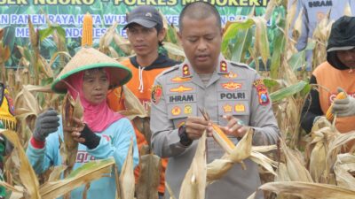 Img 20250220 Wa0036