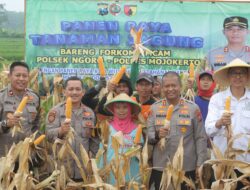 Img 20250220 Wa0038