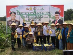 Polres Pelabuhan Tanjung Perak Ajak Mahasiswa Panen Jagung di Tambak Wedi, dalam Rangka Swasembada Pangan