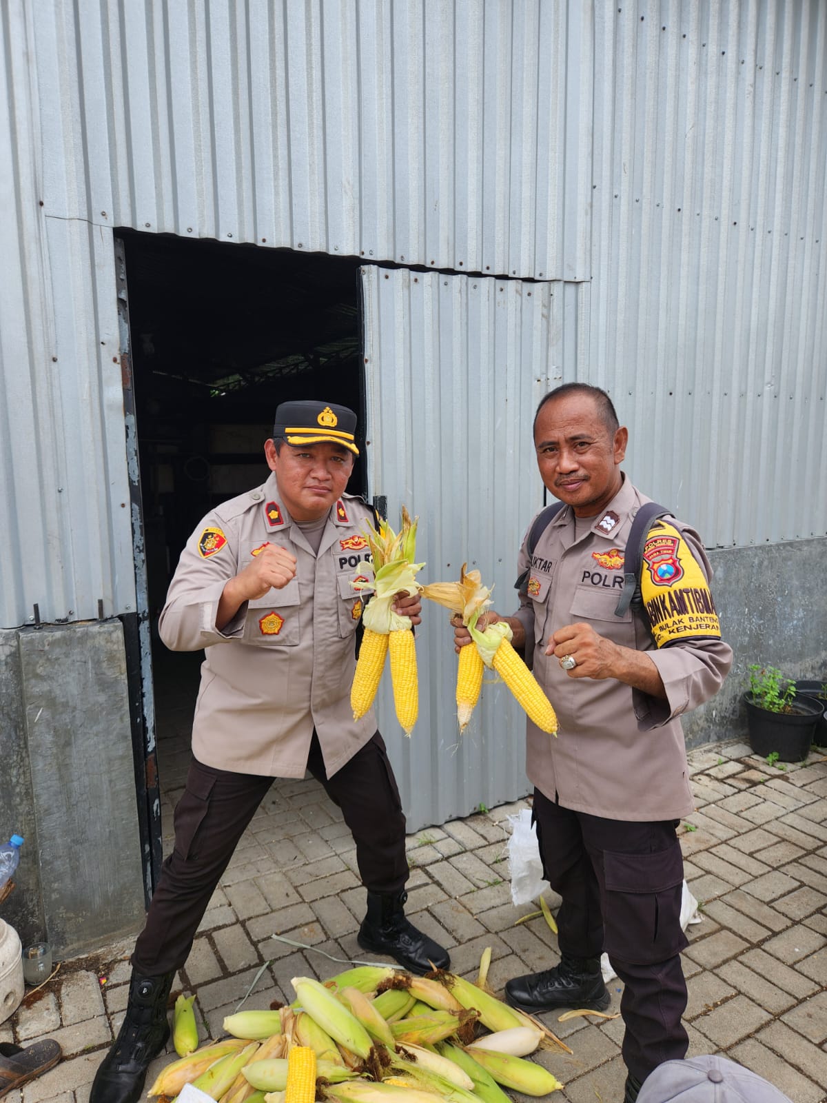 Img 20250318 Wa0051