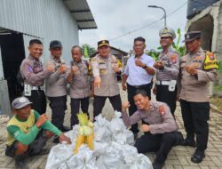 Img 20250318 Wa0052