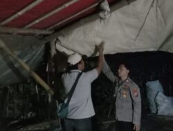 Berantas Perjudian Polisi Bongkar Arena Sabung Ayam di Nganjuk