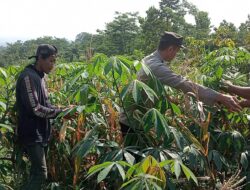 Bhabinkamtibmas Polres Pasuruan Jadi Motor Penggerak Ketahanan Pangan