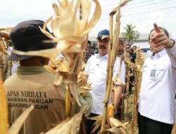NUSAKAMBANGAN PANEN PERDANA,BANGUN LUMBUNG KETAHANAN PANGAN DAN BERI KESEMPATAN WARGA BINAAN 