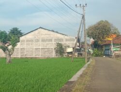 Di duga pabrik rokok tanpa cukai yang terus beroprasi di pandaan 