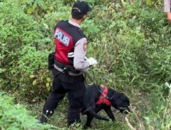 Berkat Anjing Unit K-9 Polda Jatim Indentitas Korban Mutilasi Pacet Berhasil Terungkap