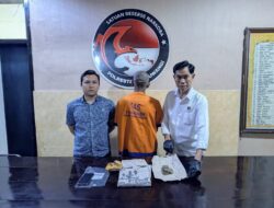 Polresta Banyuwangi Ungkap Peredaran Ganja Satu tersangka Diamankan