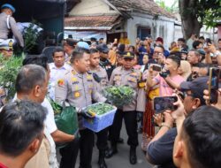 Polres Jombang Bongkar Budidaya Ganja di Rumah Kontrakan,110 Batang Disita