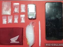 Polres Pelabuhan Tanjung Perak Tangkap Seorang Pengedar Dan Sita 7 Poket Sabu Siap Edar.