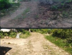 Jalan Rusak 15 Tahun di Kampung Kateng Dhelem Tambak Omben, Warga: Dana Desa Sudah Turun Tapi Belum Diperbaiki