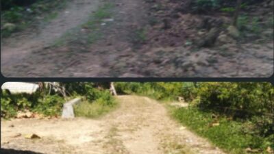 Screenshot 20260309 035541 Whatsapp