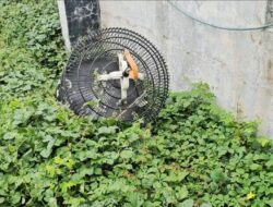 Polsek Wonocolo Terima Laporan Pencurian Burung Murai dan Dua Ponsel, Kerugian Capai Rp19 Juta