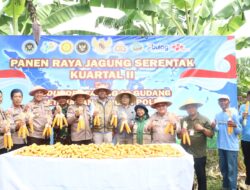 Wujudkan Ketahanan Pangan, Polres Pelabuhan Tanjung Perak Panen Raya Jagung Kuartal II Tahun 2026