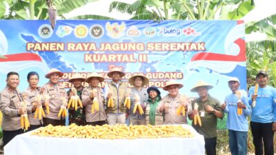 IMG 20260517 WA0030