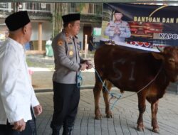 Kapolres Jombang Serahkan Sapi Kurban dari Kapolda Jatim untuk Dua Ponpes