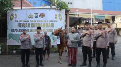 IMG 20260528 WA0001
