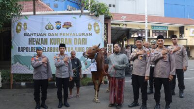 IMG 20260528 WA0001