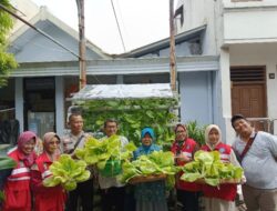 Kapolsek Genteng Bersama Warga Petik Hasil Budidaya Pokcay di Kampung Hidroponik