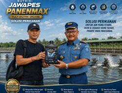 NUTRISI JAWAPES PANENMAX® Hadir Berikan Solusi Perikanan