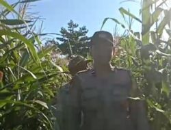Bhabinkamtibmas Bangkingan Cek Lahan Jagung di Telogo Tanjung, Dukung Ketahanan Pangan Surabaya