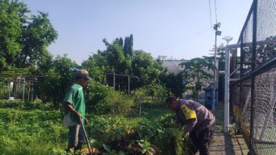 Dukung Ketahanan Pangan, Bhabinkamtibmas Rungkut Kidul Sambangi Poktan