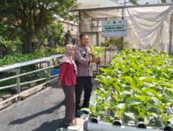 Bhabinkamtibmas Babat Jerawat Dampingi Poktan Barokah Kembangkan Hidroponik untuk Dukung Ketahanan Pangan