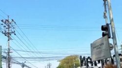 IMG 20260709 WA0024