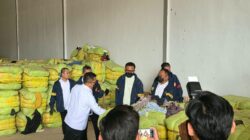 IMG 20261028 WA0035